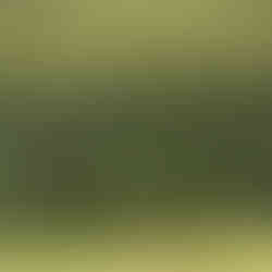 Серф трип Дорога Садов ЮАР Unravel Surf Travel Сафари