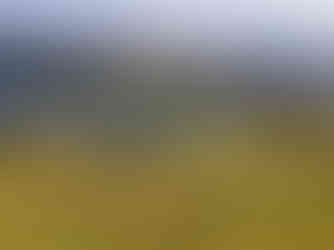 Путешествия по ЮАР с Unravel Surf Travel