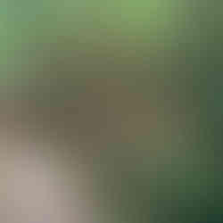 Серф трип Дорога Садов ЮАР Unravel Surf Travel