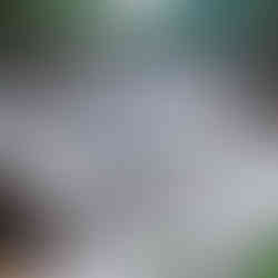 Серф трип Дорога Садов ЮАР Unravel Surf Travel