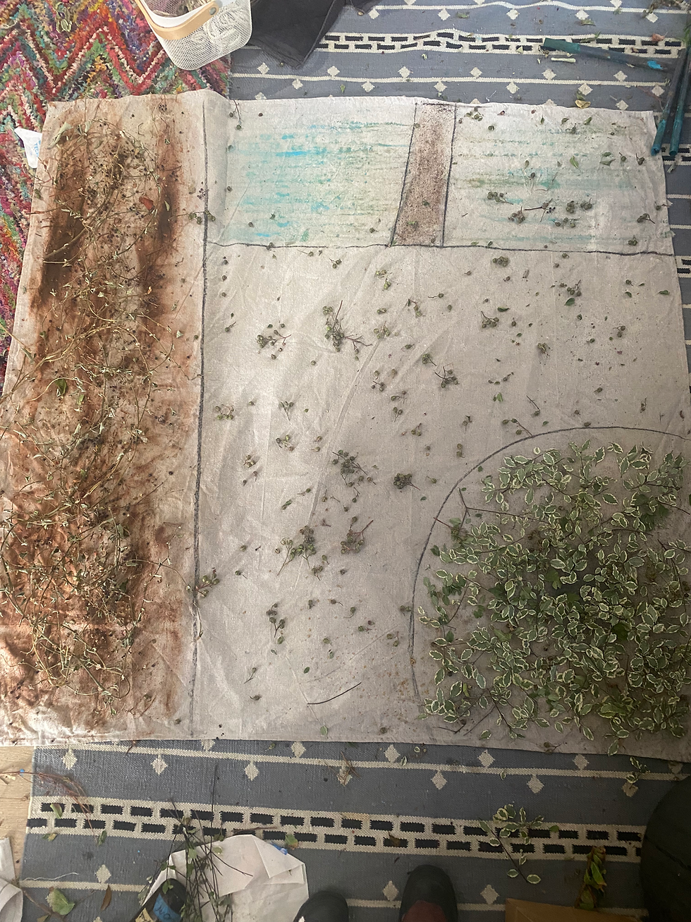 Botanical contact painting by Dharshi de Silva, Bright Star making process before steaming.
