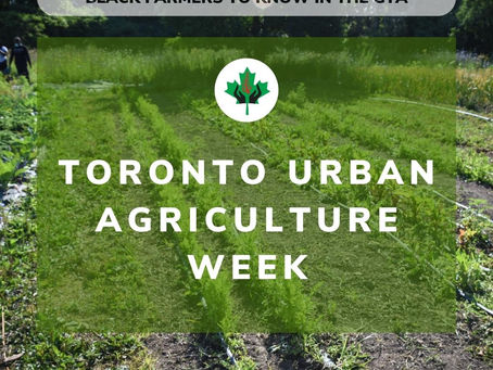 Celebrating Black Farmers for Toronto Urban Agriculture Week