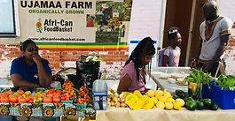 U of T researchers help design blueprint for Black food sovereignty in Toronto