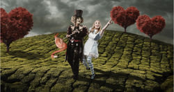 Look How Far Your Hedgehog Went!