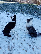 DANS LA NEIGE.jpg