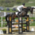 El Thuder Paris arena Brendon Stud