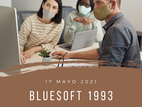 blueSoft 1993