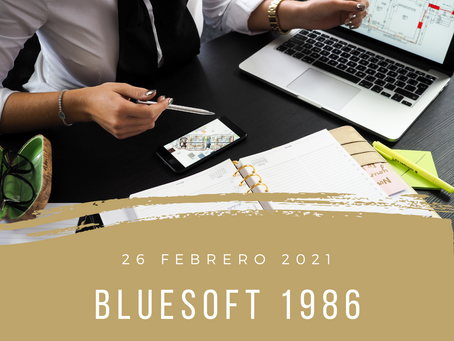 blueSoft 1986