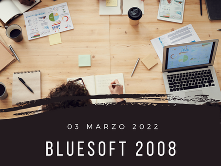 blueSoft 2008