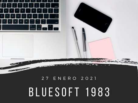 blueSoft 1983