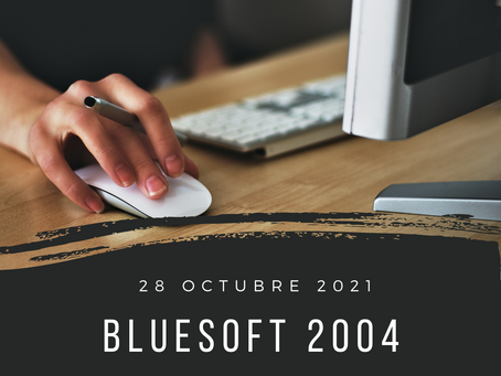 blueSoft 2004