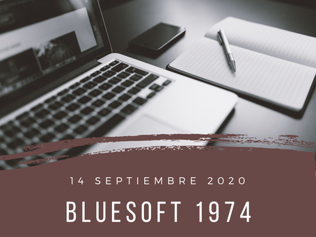 blueSoft 1974