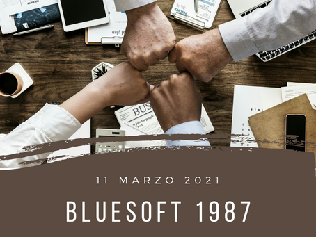 blueSoft 1987