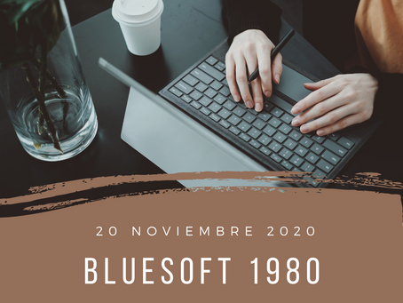 blueSoft 1980