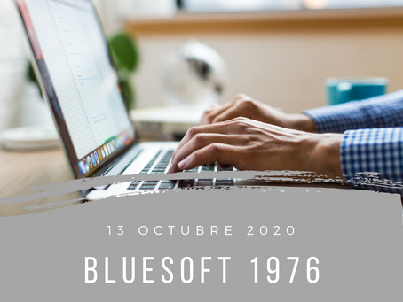 blueSoft 1976