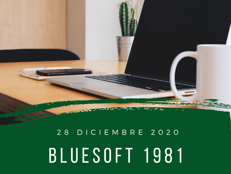 blueSoft 1981