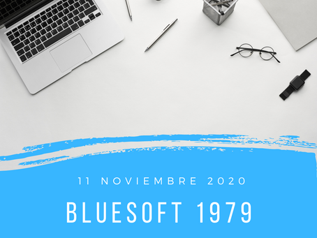 blueSoft 1979