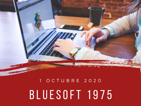blueSoft 1975