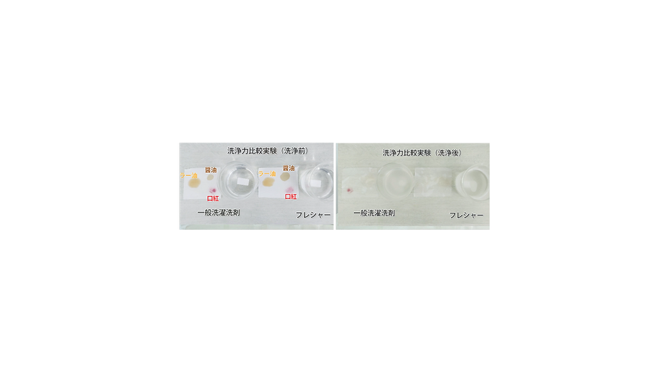サムネイル： フレシャーPro