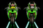 Both Bikes-2.jpg