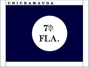 7th Florida Regimental Colors, Hardee Pattern