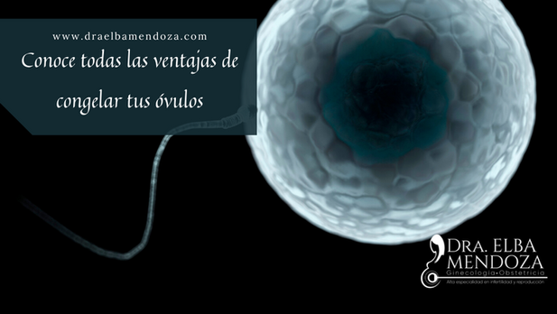 Conoce todas las ventajas de congelar tus óvulos
