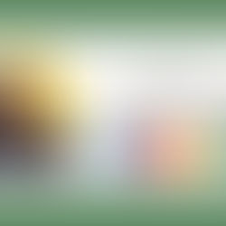 Introduction to Enhancing Relationships with the B.A.N.K. Methodology 