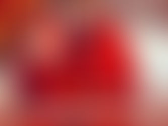 ZARTOSHT AHMADI-RAGHEB HAS BEEN TRANSFERRED TO SOLITARY CONFINEMENT