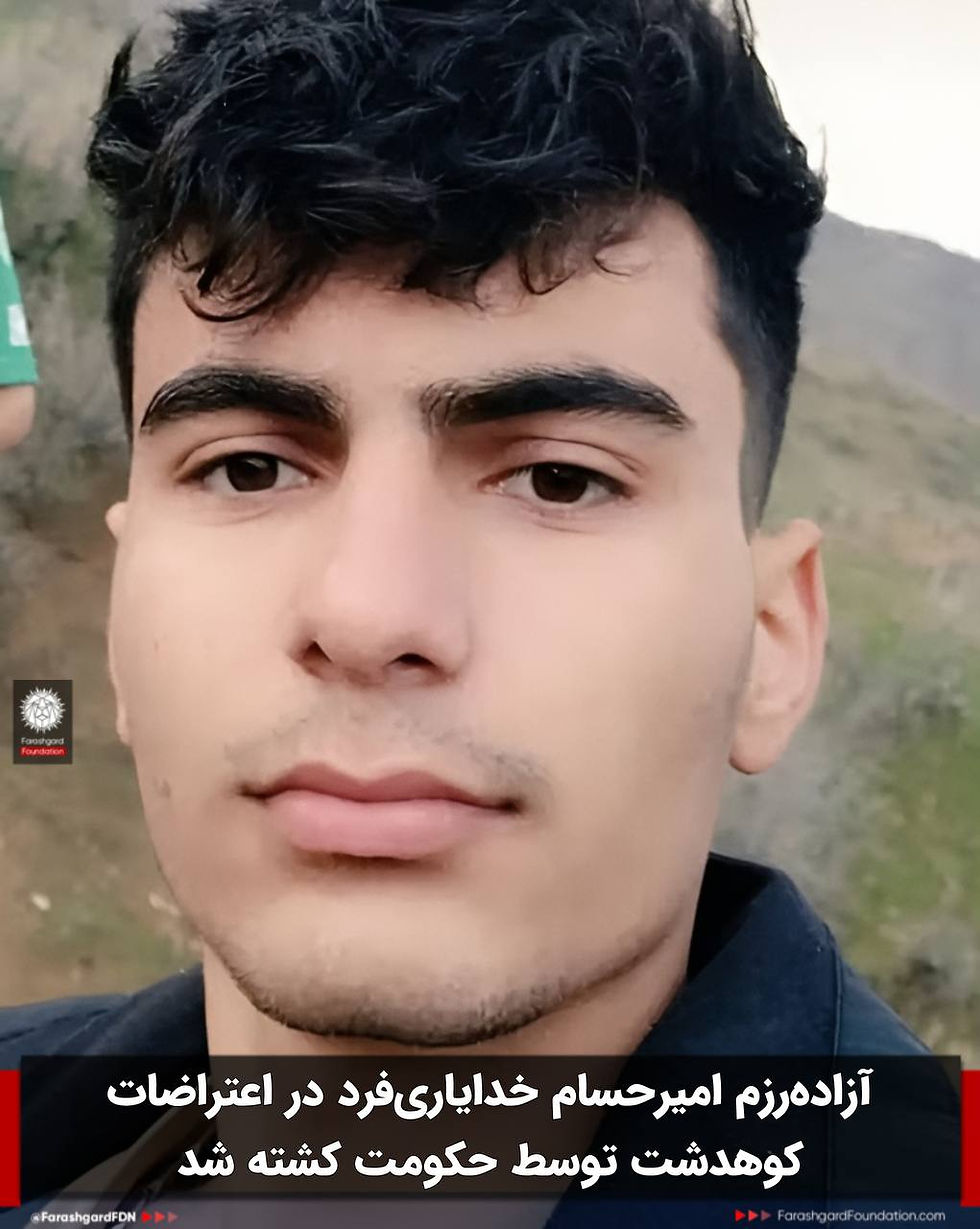 امیرحسام خدایاری فرد