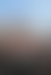 REZA, REZA PAHLAVI THIS IS THE NATIONAL SLOGAN