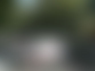 Protest by a group of retired