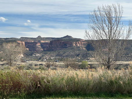 Heading to Bryce & Zion...From Ice & Snow to Sandals & Shorts in 4 hours