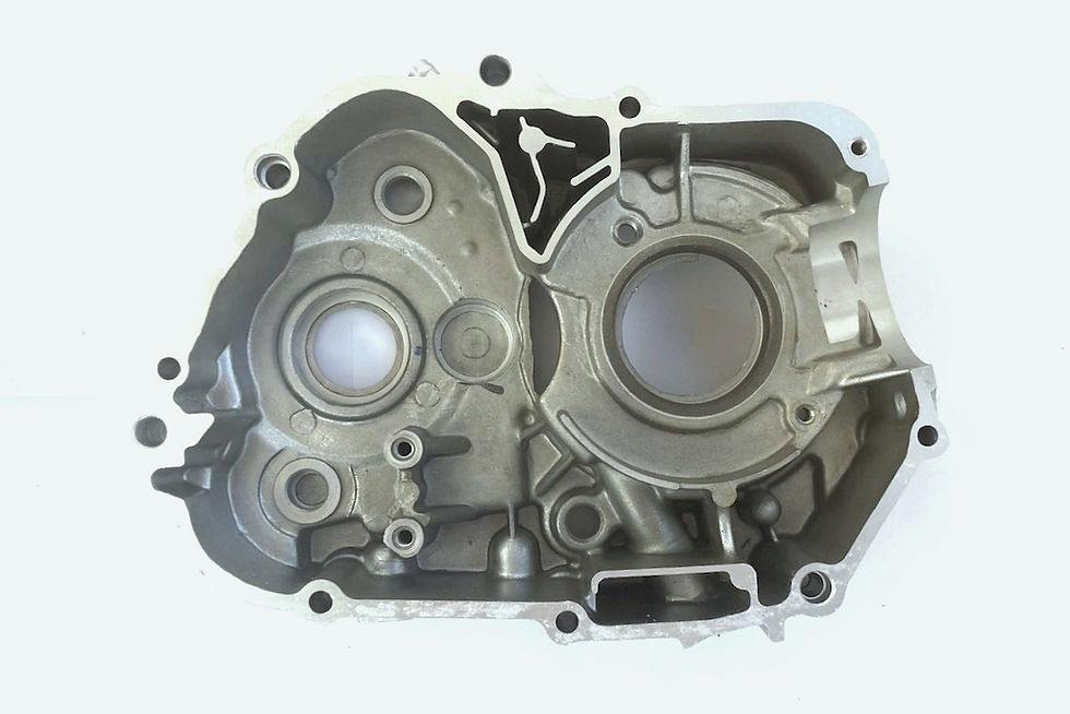 Miniatura: SKŘÍŇ LEVÁ