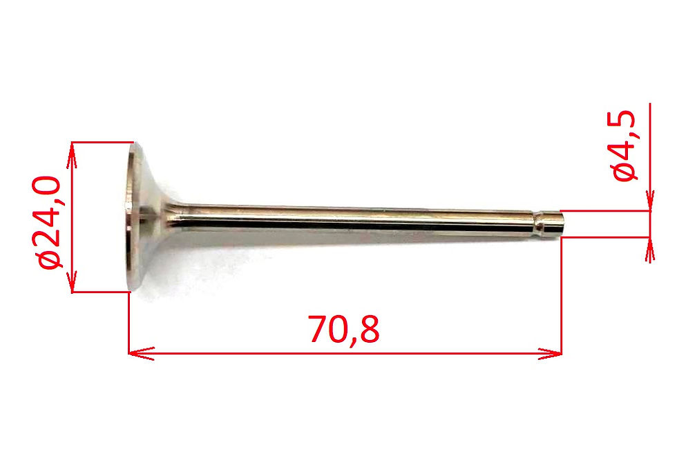 Miniatura: EXHAUST VALVE SH2V