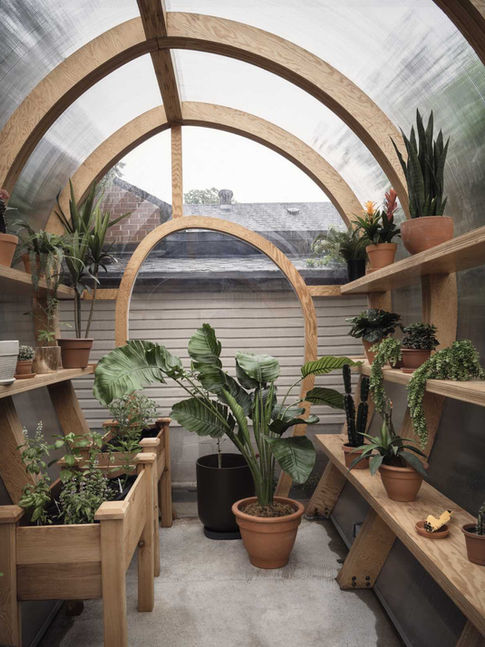Greenhouse7.jpeg