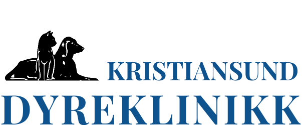 logo, hund, katt