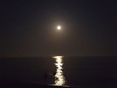 what the fuck 230.jpg