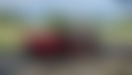 Cruisin’ corvettes