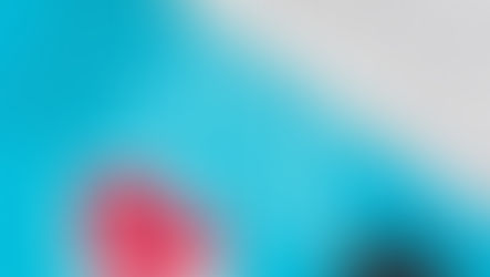 Calling all bidders!