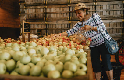 Woman selecting apples at Jeter Mountain Farm