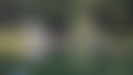 End-of-the-summer celebration