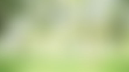 Summer events update