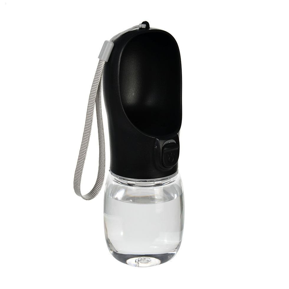 Main image for Pet Portable Big Dog Water Bottle for Small Large Dogs Outdoor Hiking Leakproof