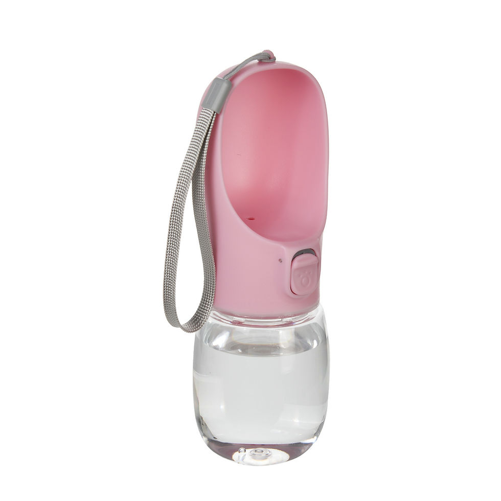 Main image for Pet Portable Big Dog Water Bottle for Small Large Dogs Outdoor Hiking Leakproof