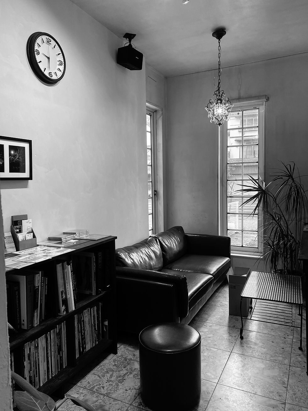 hair attic