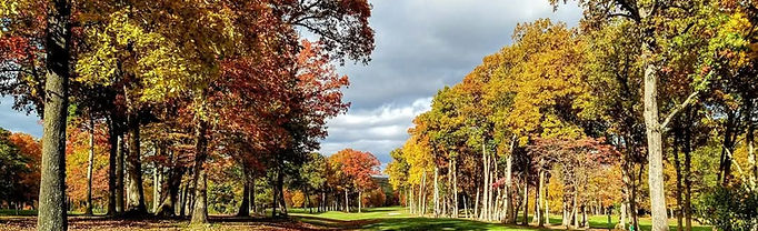 Alex Mutia golf