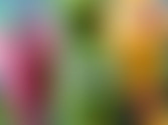 Timing Your Juiceber for Health & Energy