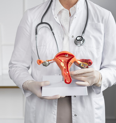 front-view-doctor-holding-anatomic-model.jpg