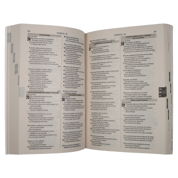 Miniatura: Biblia Misionera RV1960 Mediana Azul
