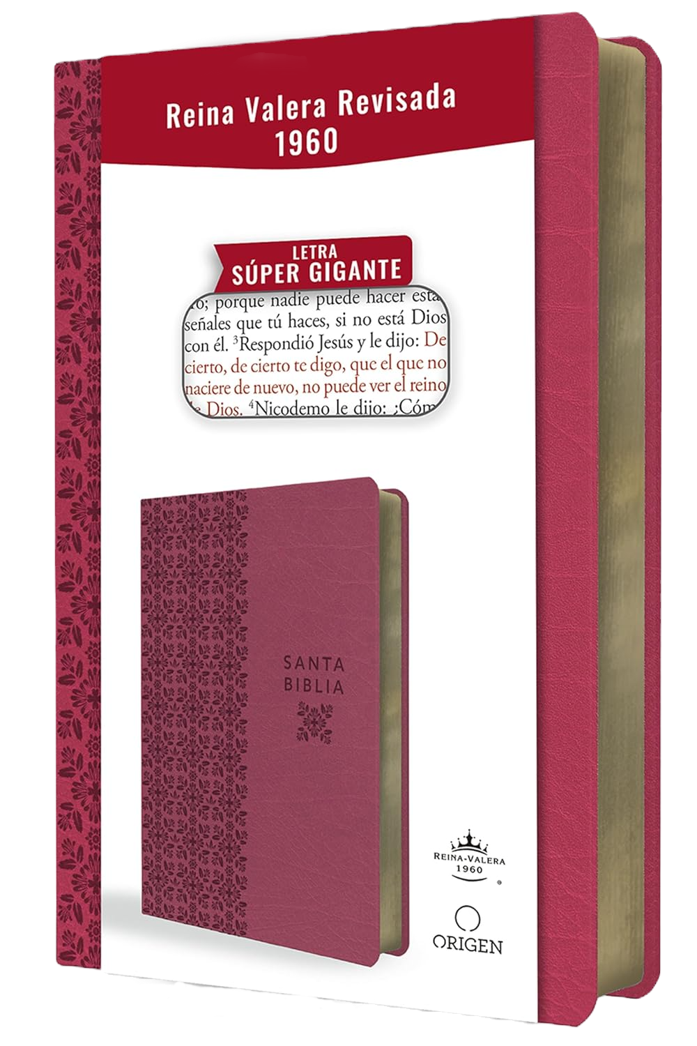 B. RV1960 Simil Fucsia Rosa